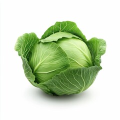 Obraz premium Vibrant Green Cabbage