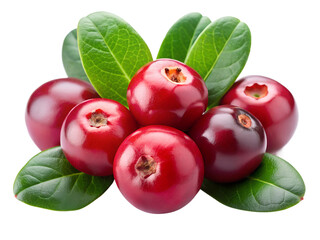 red currant with leaves