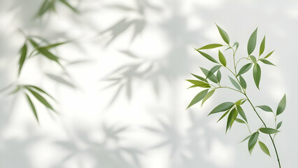bamboo leaves background