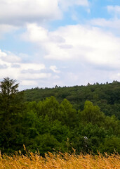 Field in Wiezyca and Ostrzyckie Lake in a backgraund.