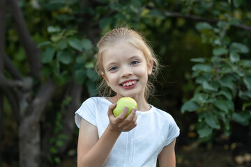 Little girl holding apple in garden. Happy child picking fruits in garden. Fresh healthy food.