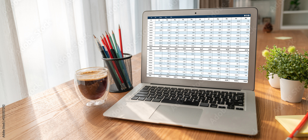 Poster accounting software on computer screen showing financial statement spreadsheets and account balance 