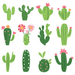 vector cactus set