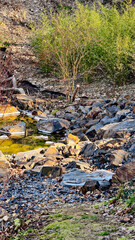 Rocky stream with green bushes and mossy path in nature – peaceful wilderness, small creek, natural stones, fresh vegetation, outdoor landscape, rural scenery, and tranquil environment