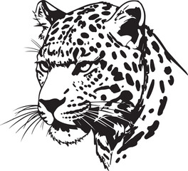 A Majestic Leopards Intense Gaze, Captured In A Striking Monochrome Portrait With Sharp Detailing And Dramatic Contrast Isolated on Transparent Background