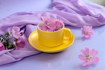 Spring still life: yellow cup with pink flowers on a pastel background, light scarf nearby