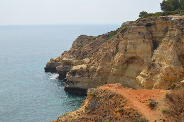 Wybrzeże oceanu