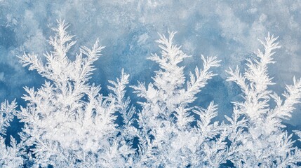 Frosted Branches on a Blue Background with Icy Patterns and Texture