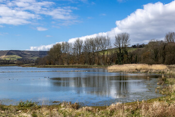 A view at Lewes wetlands with a blue sky overhead © lemanieh