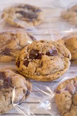 Homemade freshly baked chocolate chips cookies on oven rack