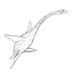 Dinosaur Hand drawing line art coloring book illustration, coloring page for kids and adults, transparent background png