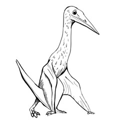 Dinosaur Hand drawing line art coloring book illustration, coloring page for kids and adults, transparent background png