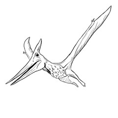 Dinosaur Hand drawing line art coloring book illustration, coloring page for kids and adults, transparent background png