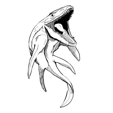 Dinosaur Hand drawing line art coloring book illustration, coloring page for kids and adults, transparent background png