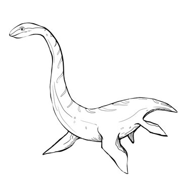Dinosaur Hand drawing line art coloring book illustration, coloring page for kids and adults, transparent background png