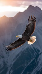 Majestic bald eagle soars gracefully over rugged mountains at sunset, capturing nature's beauty in flight Generative AI