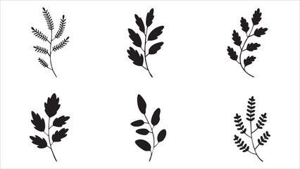 Six Black Silhouettes of Botanical Leaf Branches, Sprigs, Plants