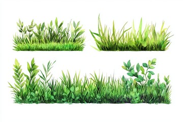 Watercolor Green Grass Borders Set Nature Plants Lush Foliage Spring Summer Meadow Greenery Illustration Design Elements Botanical Backgrounds art    