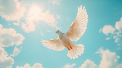 Religious background with white dove flying in the sky
