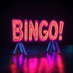 Neon Bingo Sign Shining Brightly in the Dark: A Retro Gaming Experience and Colorful Display