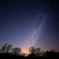 Nighttime Skyline, Silhouetted Trees, and Stars: A Breathtaking Celestial Scene