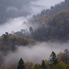 Fototapeta premium Misty Dawn in the Majestic Mountains of Fall Bliss