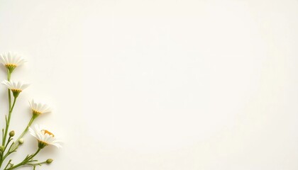 Obraz premium A cluster of soft white flowers rests gently in the corner of a blank canvas, evoking a sense of tranquility and inspiration for personal messages or artistic endeavors Generative AI