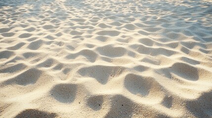 Fototapeta premium A beach with white sand and footprints.