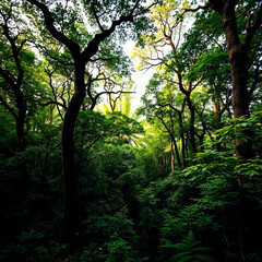 Naklejka premium A mesmerizing tapestry of life, woven from the threads of nature's emerald haven