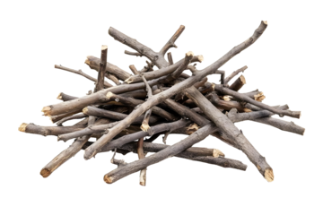 Dry wood pile isolated on white background with clipping path. Dry twigs pile ready for campfire, sticks, boughs heap for a fire, dry thin branches, brushwood.