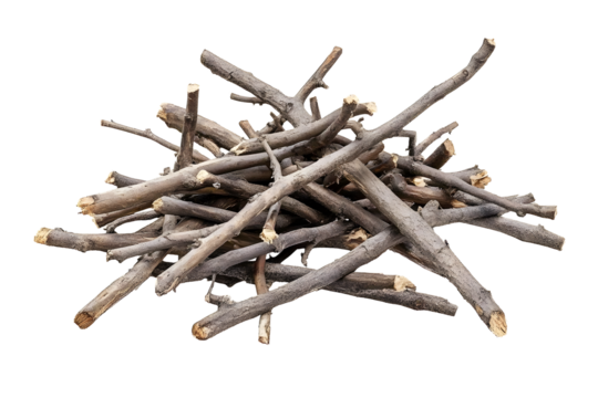 Dry wood pile isolated on white background with clipping path. Dry twigs pile ready for campfire, sticks, boughs heap for a fire, dry thin branches, brushwood.