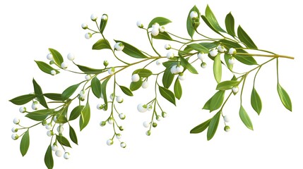 A branch with green leaves and white berries, often associated with holiday traditions.