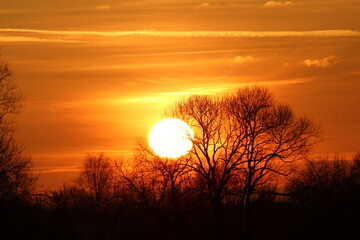Fototapeta premium Beautiful red and orange sunset over the trees. Beautiful nature scenery, Amazing light of nature sunset background. Beautiful golden sunset over the trees. Amazing sunset background wallpaper 