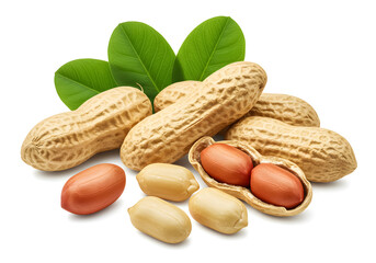 Peanuts Shell Nut Kernels Isolated Pile with Green Leaves