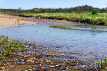 Light Reflections: Crystal Clear Waters Under the Spring Sun.