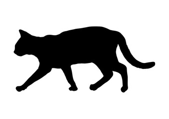 silhouette of a walking cat - vector illustration.