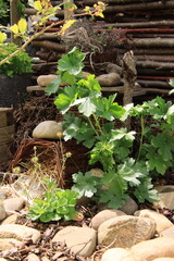 Igelversteck im Garten