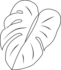 monstera leaf  line art vector illustration black color thin line