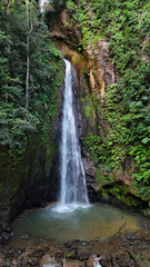 Carbet Falls (the scond one), a series of waterfalls on the Carbet River in Basse-Terre in a tropical rainforest on lower slopes of volcano La Soufriere., Guadeloupe, Caribbean