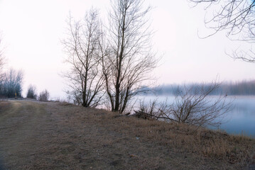 a winter foggy sunrise along the Ticino riverbank, Besate, Milano province
