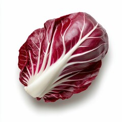 Obraz premium Fresh Red Radicchio Head
