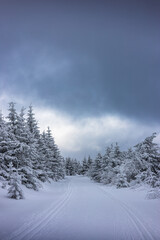 winter road in the mountains