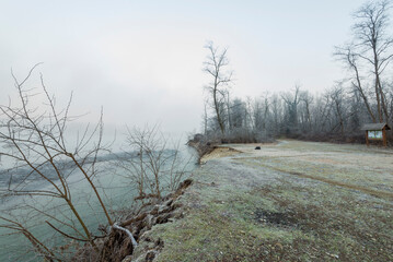 a winter foggy sunrise along the Ticino riverbank, Besate, Milano province