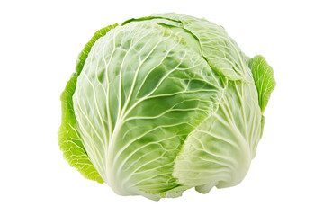Fototapeta premium Whole green savoy cabbage with textured crinkled leaves isolated on transparent background. Concept of fresh organic vegetables and healthy eating