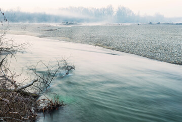 a winter foggy sunrise along the Ticino riverbank, Besate, Milano province
