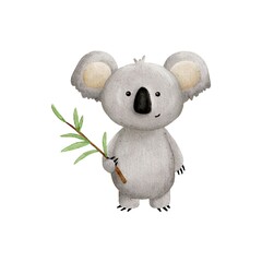 A funny smiling koala with a bamboo on a white background
