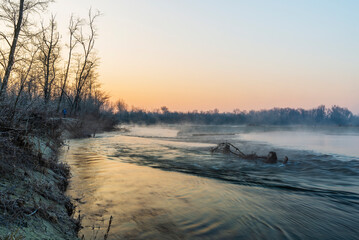 a winter foggy sunrise along the Ticino riverbank, Besate, Milano province