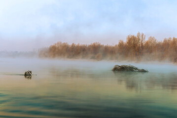a winter foggy sunrise along the Ticino riverbank, Besate, Milano province