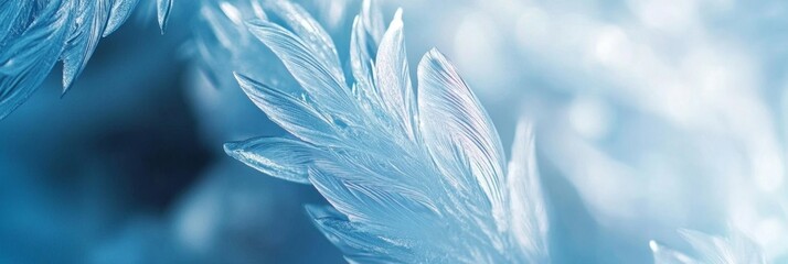 Delicate Frozen Feather Detail