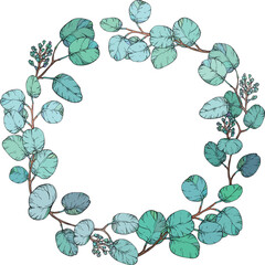 circular wreath made of Eucalyptus leaves. Botanical illustration